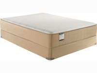 Comforpedic Plush